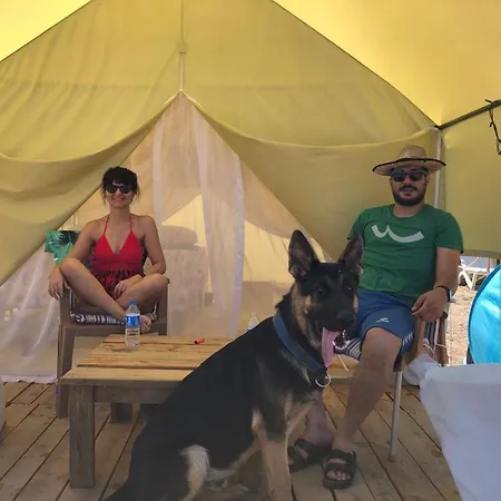Zoe Glamping Cort de lux